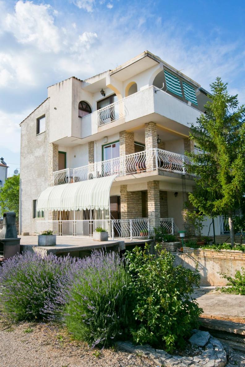 Apartmani Trlaja 보디체 외부 사진
